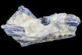 Vibrant Blue Kyanite Crystal - Brazil #80374-1